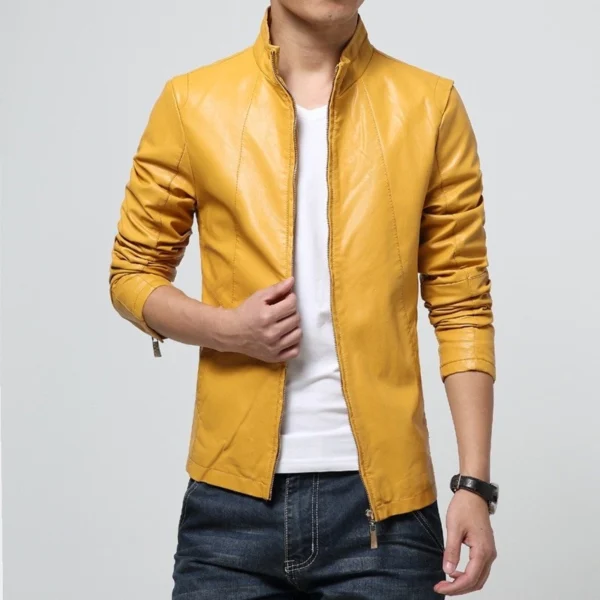 Men Stand Collar Leather Jacket